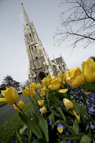 Dunedin flowers romance