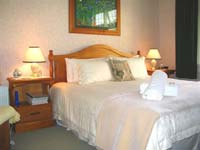 hokitika accommodation